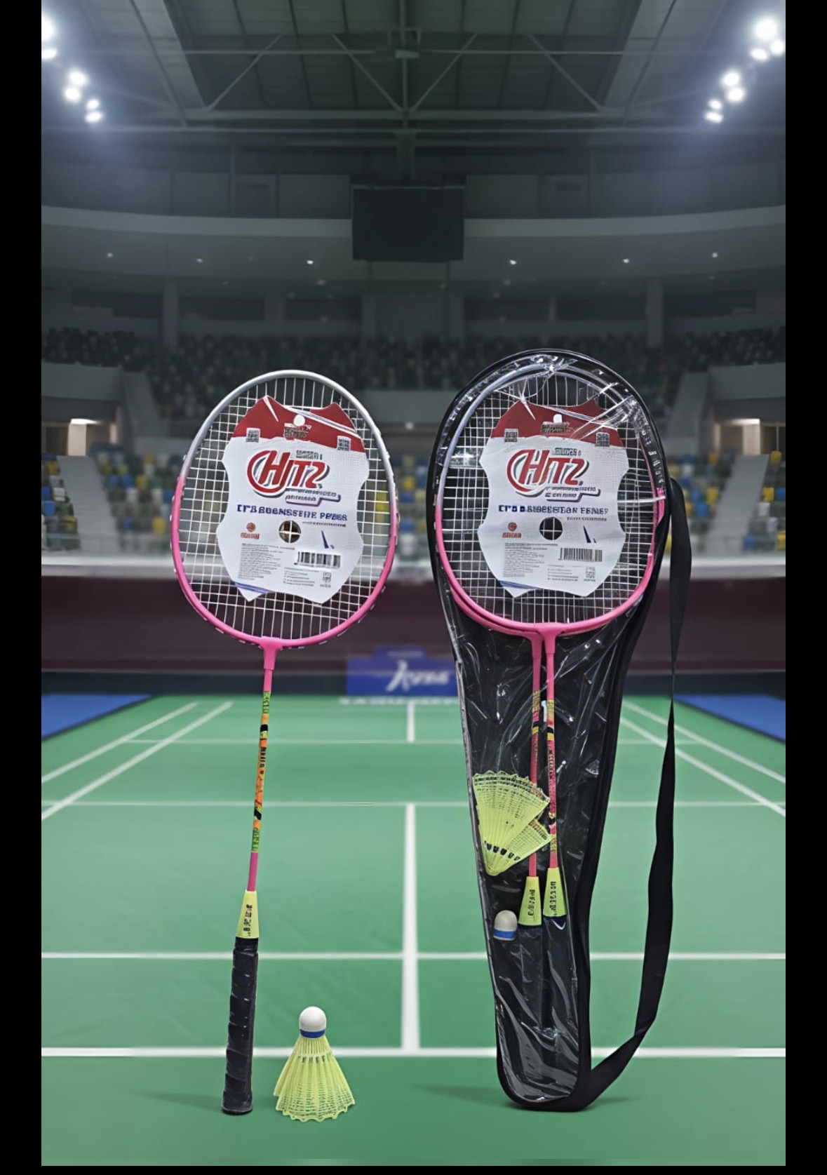 Hitz Badminton Pair